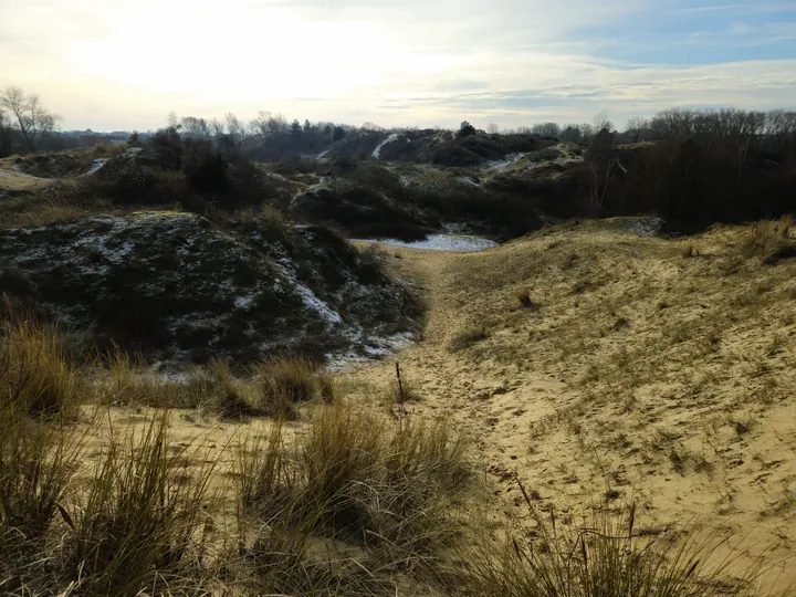 Oostnieuwkerke duinen wandeling in de koude (België)